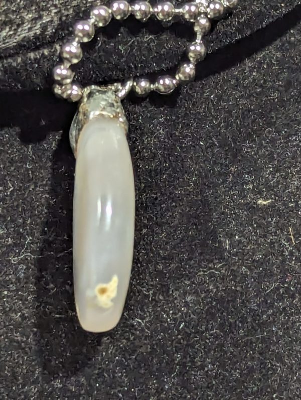 Clown Ridge Agate-2 - Image 5