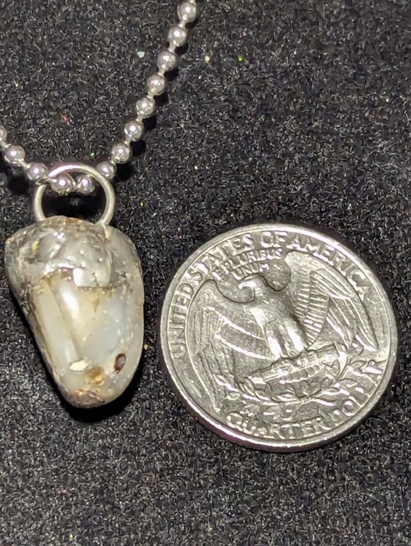 Skagit County Agate - Image 2
