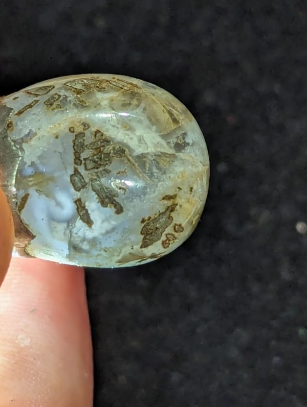 Skagit County agate - Image 4