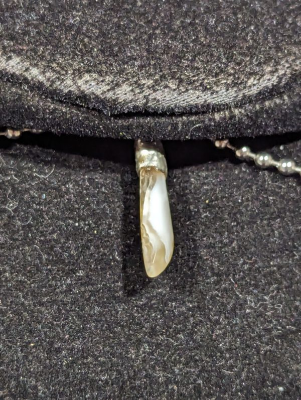 Nevada Creek Agate - Image 4