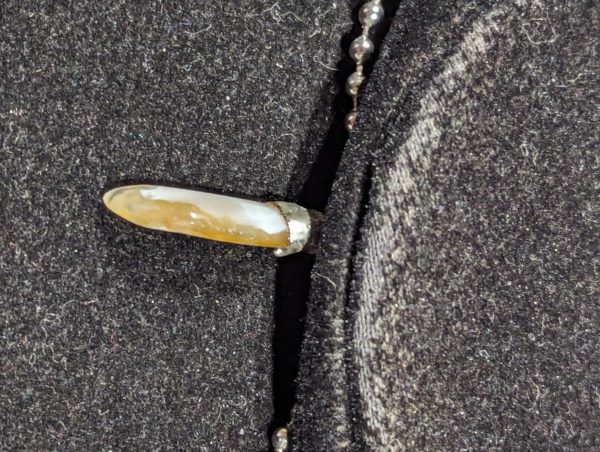 Nevada Creek Agate - Image 3
