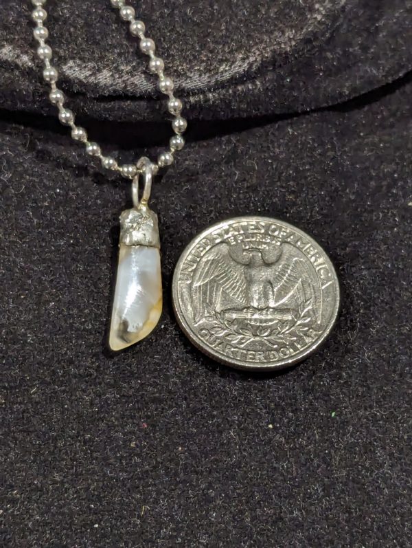 Nevada Creek Agate - Image 5