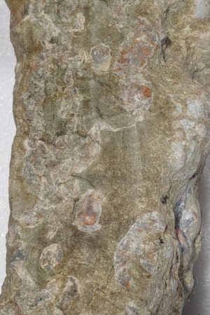 Rhyolite